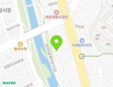 대전광역시 동구 대전천동로 354-1 (효동) 지도