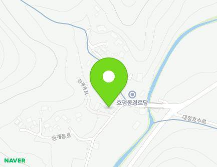 대전광역시 동구 천개동로 445-4 (효평동) 지도
