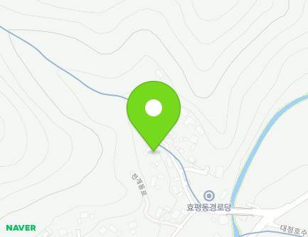 대전광역시 동구 천개동로 449-21 (효평동) 지도