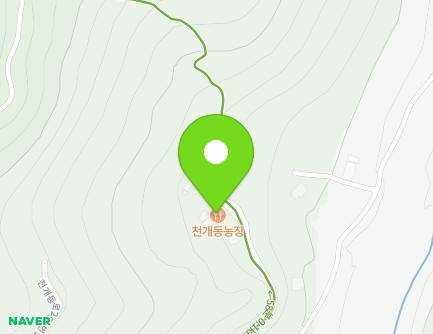 대전광역시 동구 천개동로251번길 12-51 (효평동) 지도