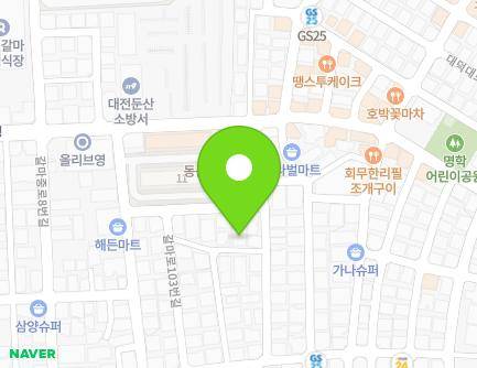 대전광역시 서구 갈마중로28번길 24-6 (갈마동, 해영빌라) 지도