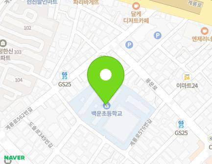 대전광역시 서구 계룡로576번길 56 (괴정동, 백운초등학교) 지도