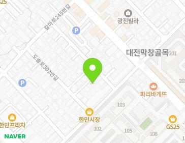 대전광역시 서구 도솔로302번길 25-8 (괴정동) 지도