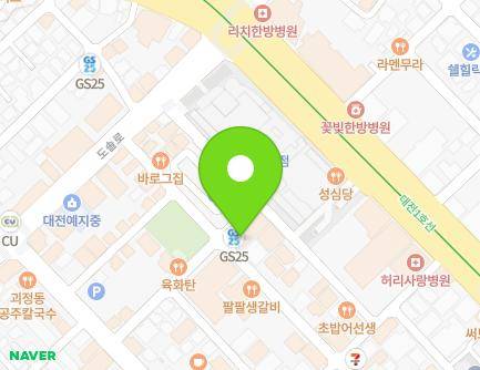 대전광역시 서구 용문로 41-88 (괴정동) 지도