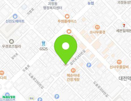 대전광역시 서구 갈마로245번길 35 (괴정동) 지도