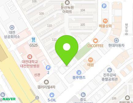 대전광역시 서구 계룡로491번길 24 (둔산동) 지도