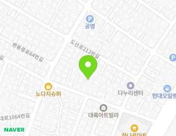 대전광역시 서구 도산로207번길 30-1 (변동, 신아빌리지) 지도