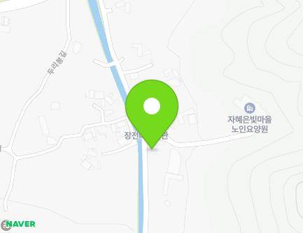 대전광역시 서구 장전길 55 (오동, 더존페이퍼) 지도