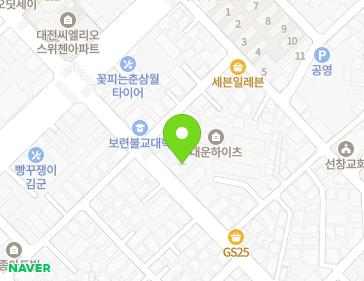 대전광역시 서구 용문로 93 (용문동, 세종에클라트) 지도