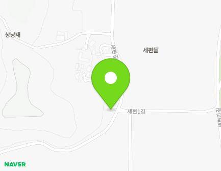 대전광역시 서구 세편길 171 (원정동) 지도