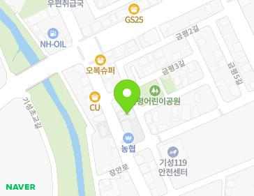 대전광역시 서구 장안로 11 (흑석동) 지도