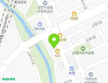 대전광역시 서구 장안로 6 (흑석동) 지도