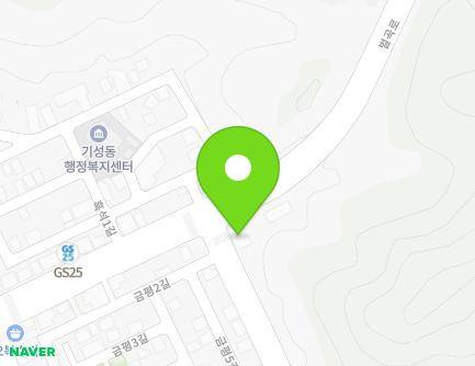 대전광역시 서구 벌곡로 672 (흑석동, 기성치안센터) 지도