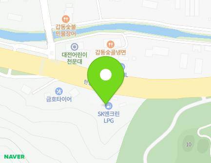 대전광역시 유성구 현충원로 168 (갑동, SK가스주유소) 지도