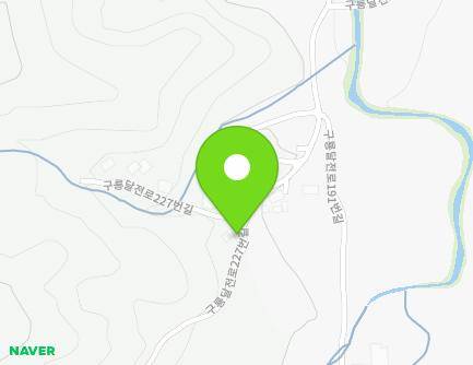 대전광역시 유성구 구룡달전로227번길 154 (구룡동) 지도