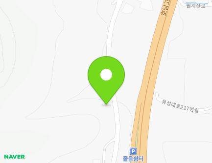 대전광역시 유성구 교촌대정로 175 (대정동) 지도
