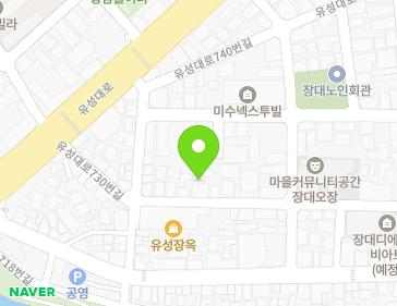 대전광역시 유성구 유성대로730번길 27 (장대동) 지도