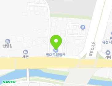 대전광역시 유성구 현충원로 489 (장대동) 지도