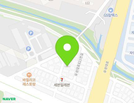 대전광역시 유성구 유성대로821번길 24-8 (장대동, 황금빌라) 지도