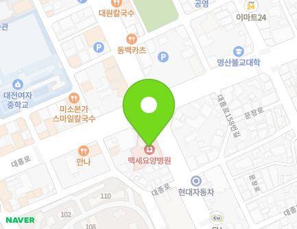 대전광역시 중구 대종로 437 (대흥동, 백세병원) 지도