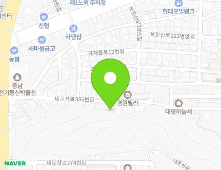 대전광역시 중구 대둔산로386번길 40 (산성동, 현대그린빌리지) 지도