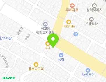 대전광역시 중구 대종로 221 (석교동) 지도