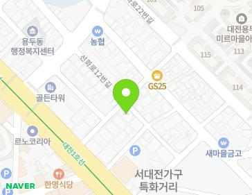 대전광역시 중구 선화로12번길 22 (용두동, 그린빌라) 지도