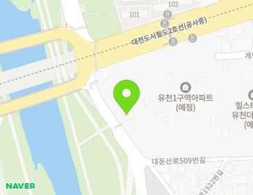 대전광역시 중구 유등천동로 370 (유천동, 강변빌라) 지도