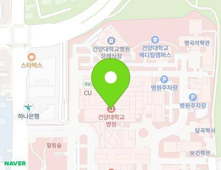 대전광역시 서구 관저동로 158 (관저동, 건양사이버대학교) 지도