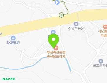 부산광역시 강서구 낙동남로 446-1 (녹산동) 지도