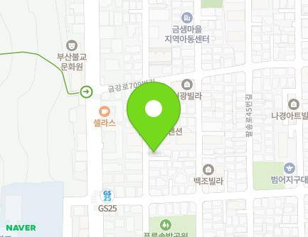 부산광역시 금정구 팔송로59번길 45 (남산동) 지도