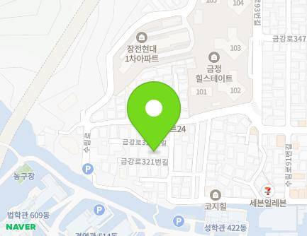 부산광역시 금정구 금강로321번길 117-6 (장전동, 호정원텔Ⅰ) 지도
