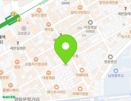 부산광역시 남구 용소로19번길 48 (대연동, 탑스빌리지) 지도