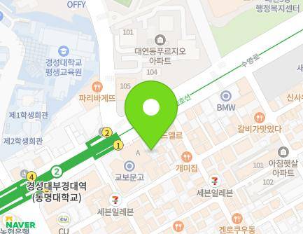 부산광역시 남구 수영로 328 (대연동, 부산남부경찰서대연지구대) 지도