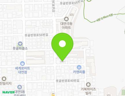 부산광역시 남구 못골번영로46번길 47 (대연동, 노블리안ll) 지도