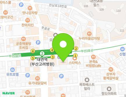 부산광역시 남구 수영로 238 (대연동, 고려병원) 지도
