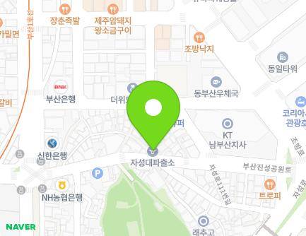 부산광역시 동구 부산진성공원로 15 (범일동, 자성지구대) 지도