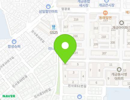 부산광역시 부산진구 진사로 53 (개금동, 반도아파트) 지도