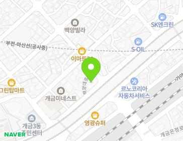 부산광역시 부산진구 백양대로 252 (개금동) 지도