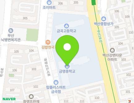 부산광역시 북구 화명신도시로 210-1 (금곡동, 금명중학교) 지도
