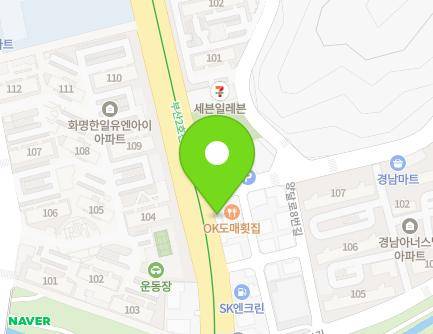 부산광역시 북구 금곡대로 370 (화명동) 지도