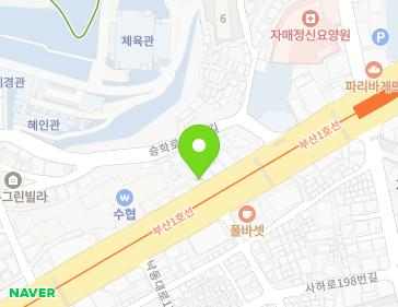 부산광역시 사하구 낙동대로 172 (괴정동, 연호빌딩) 지도