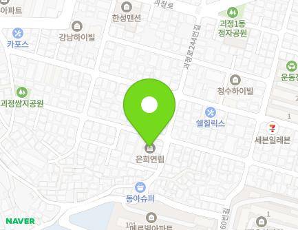 부산광역시 사하구 사하로141번나길 89 (괴정동, 은화주택) 지도
