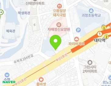 부산광역시 사하구 낙동대로 162 (괴정동) 지도