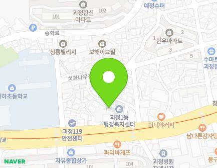 부산광역시 사하구 낙동대로250번안길 9 (괴정동) 지도