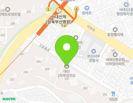 부산광역시 서구 고운들로 181 (서대신동2가, 대신푸르지오2차) 지도