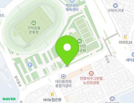 부산광역시 서구 망양로 61 (서대신동3가, 동대치안센터) 지도