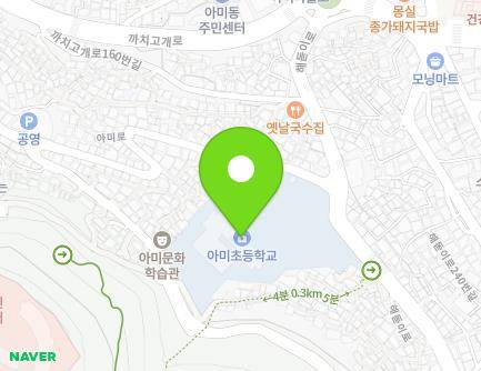 부산광역시 서구 해돋이로 241 (아미동2가, 아미초등학교) 지도