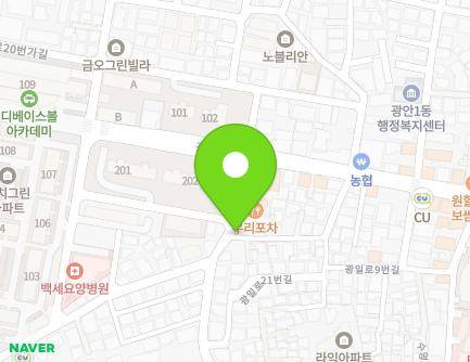 부산광역시 수영구 광일로29번길 11 (광안동) 지도