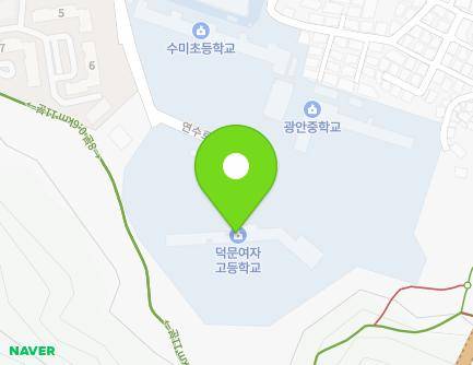 부산광역시 수영구 연수로310번길 114 (광안동, 덕문여자고등학교) 지도